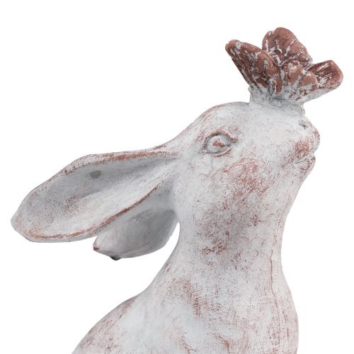 Floristik24 Triušio sėdėjimo dirbtinio akmens drugelio dekoracija 14×10,5×26cm