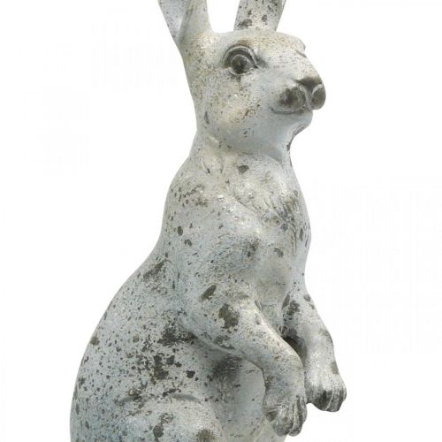 Floristik24 Dekoratyvinis triušis Velykoms, pavasario puošmena betonine išvaizda, sodo figūrėlė su auksiniais akcentais, skurdus prašmatnus H42cm