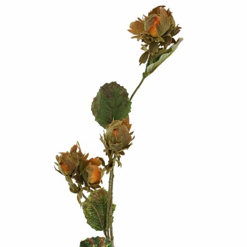 Floristik24 Lazdyno šakelė žalia / ruda 84cm
