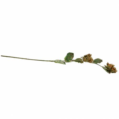 Floristik24 Lazdyno šakelė žalia / ruda 84cm