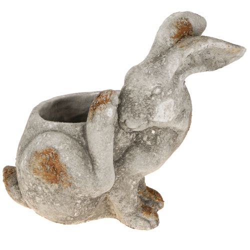 Triušio dekoratyvinis betoninis gėlių vazonas antikvarinis pilkas 33,5x17x29,5cm