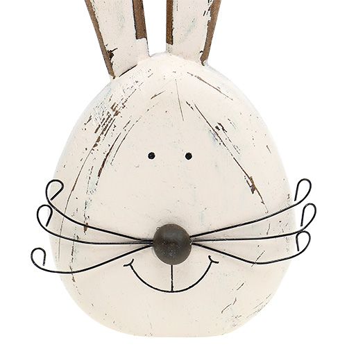 Floristik24 Hasenkopf Creme stovimas 19cm