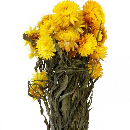 Floristik24 Šiaudų geltona džiovintų džiovintų gėlių dekoratyvinė kekė 75g