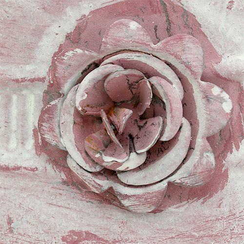 daiktų Puodo rankena rožinė, skalbta su rože Ø22cm H13,5cm