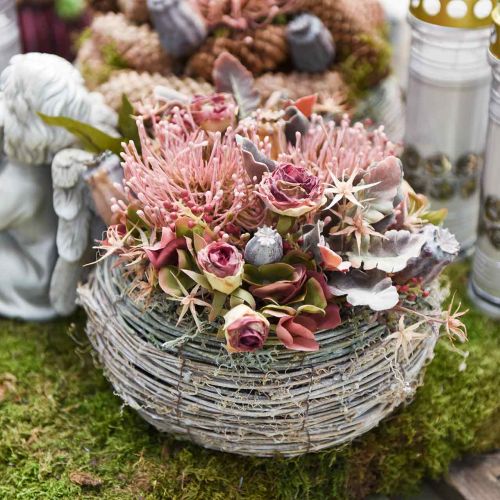 Floristik24 Rudens gėlių segtukas dirbtinis Protea Rosa Leucospermum 73cm 3vnt.