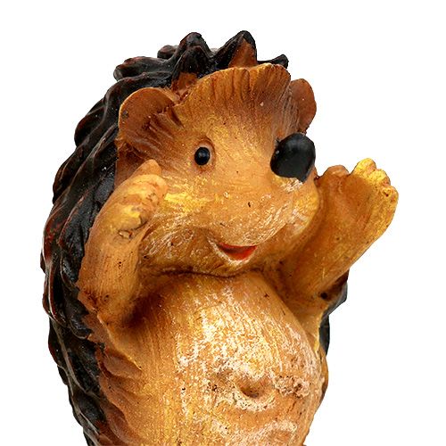 Floristik24 Rudens puošmena ežiuko mišrainė 6cm ruda 6vnt