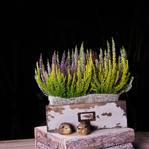 Floristik24 Sodinamosios medinis stalčius senovinis pilkas 27cm x 13cm