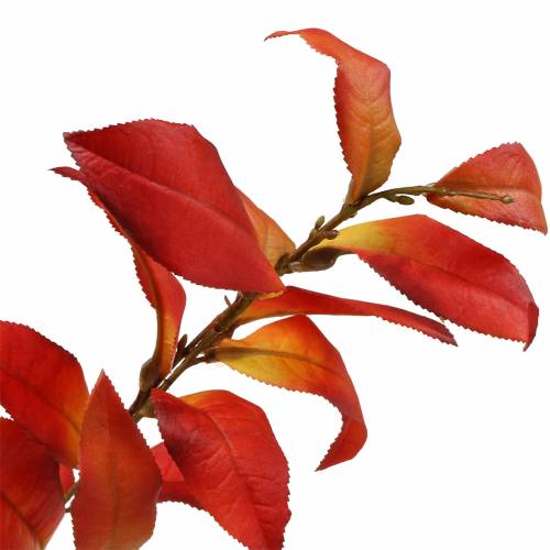 Floristik24 Rudens šaka 72cm