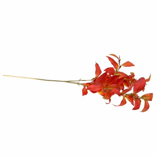 Floristik24 Rudens šaka 72cm