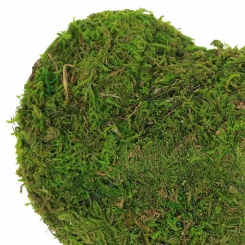 Floristik24 Samanų širdelė žalia 20cm 3vnt