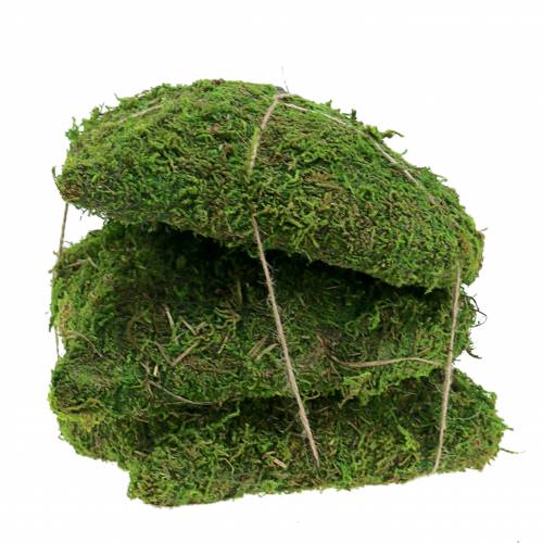 Floristik24 Samanų širdelė žalia 20cm 3vnt