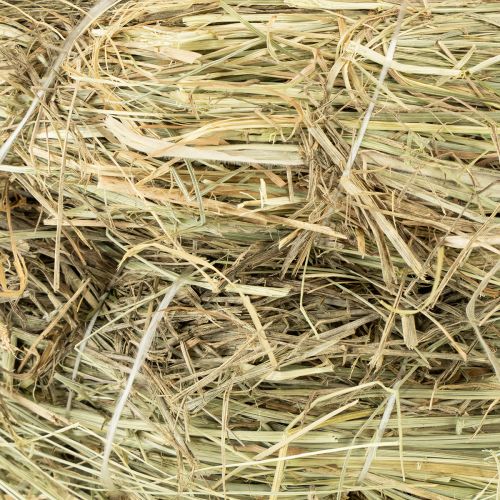 daiktų Šieno vainikai 31-32cm 5 vnt.