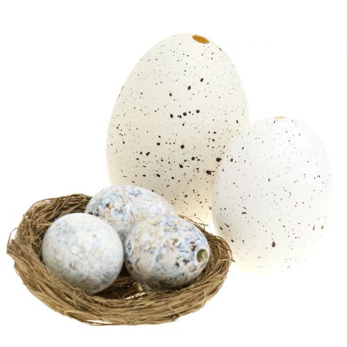 Floristik24 Kiaušinių asortimentas žąsis, vištiena ir putpelės 3,5cm – 8cm 12vnt