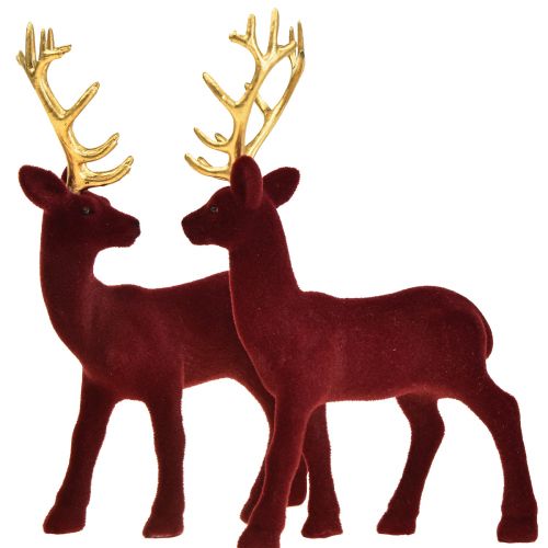 Floristik24 Deer Deco šiaurės elniai Bordeaux Gold Calf Flocked 20 cm rinkinys iš 2