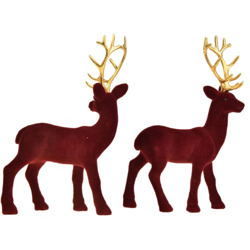 Floristik24 Deer Deco šiaurės elniai Bordeaux Gold Calf Flocked 20 cm rinkinys iš 2