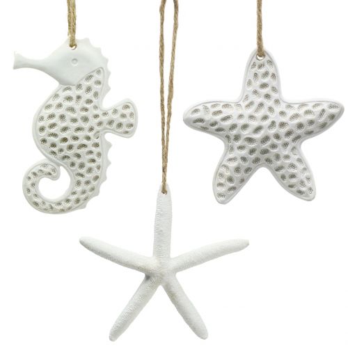 Floristik24 Deco kabykla jūrų žvaigždė, jūrų arkliukas 12cm 3vnt