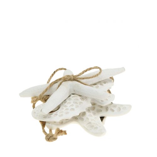 Floristik24 Deco kabykla jūrų žvaigždė, jūrų arkliukas 12cm 3vnt