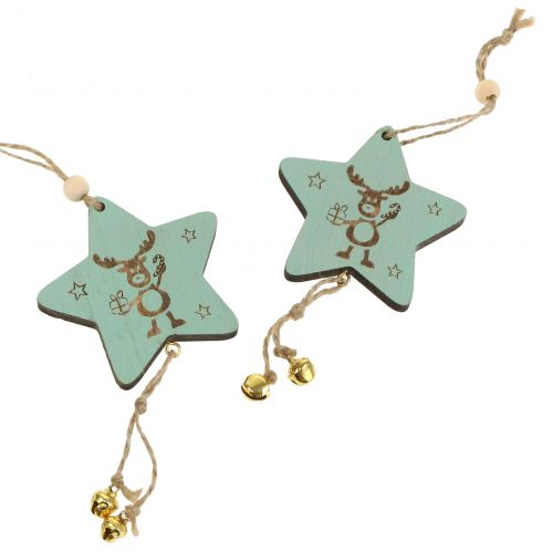 Floristik24 Kabykla Star Mint 7cm L20cm 12 vnt
