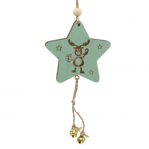 Floristik24 Kabykla Star Mint 7cm L20cm 12 vnt