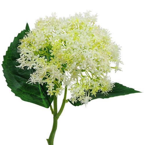 Floristik24 Vyresnysis Baltas 42cm