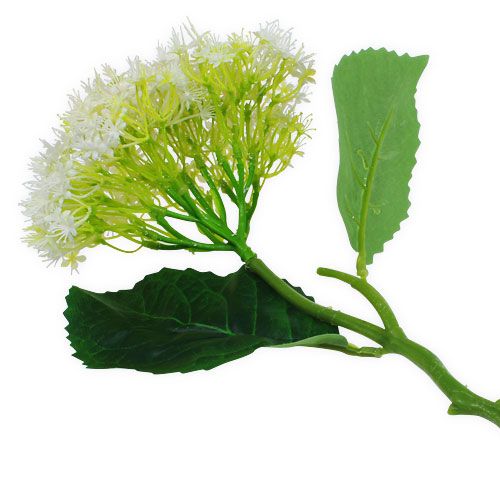 Floristik24 Vyresnysis Baltas 42cm