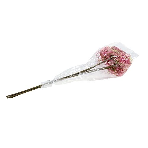Floristik24 Šeivamedžio šakelė rožinė-balta L 55cm 4vnt