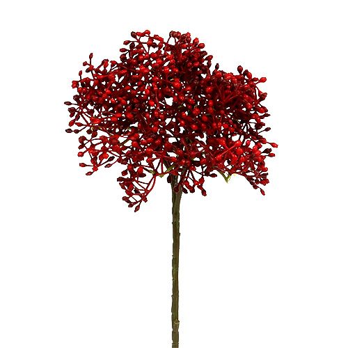Floristik24 Šeivamedžio šakelė raudona 55cm 4vnt