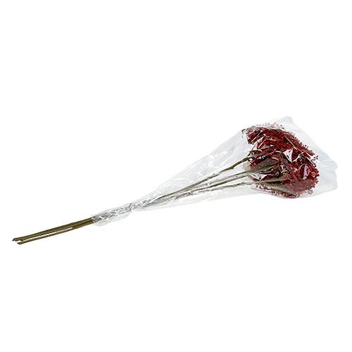Floristik24 Šeivamedžio šakelė raudona 55cm 4vnt