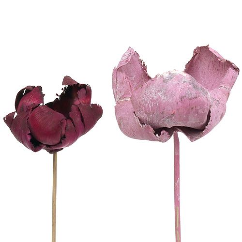 Floristik24 Medinė gėlė, palmių puodelis mix pink-erika 25 vnt