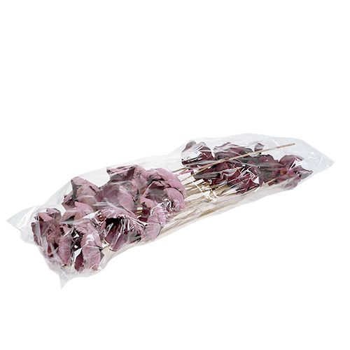 Floristik24 Medinė gėlė, palmių puodelis mix pink-erika 25 vnt