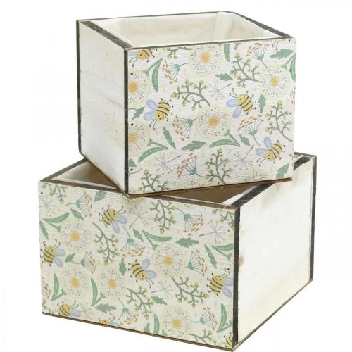 Floristik24 Dėžutės sodinimui, medinė puošmena, dekoratyvinė dėžutė su bitėmis, pavasarinė puošmena, skurdus prašmatnus L15/12cm H10cm 2 komplektas