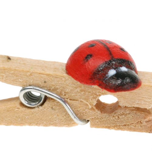 daiktų Dekoratyvinės medinės segtukai ladybugs 2,5cm 180 vnt