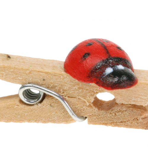 daiktų Dekoratyvinės medinės segtukai ladybug 2,5cm 180p