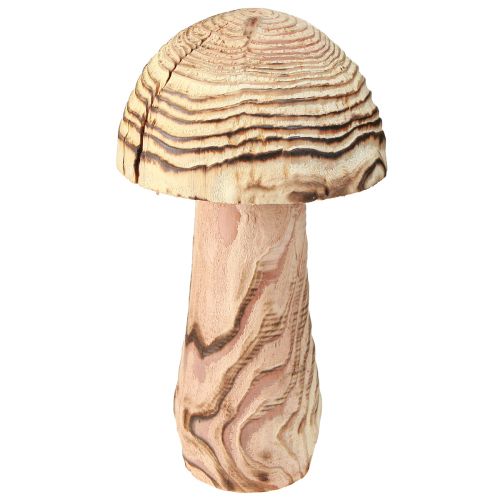 daiktų Medinis grybas stovinčiam dekoratyvinei grybų medienai Paulownia Ø15cm H28cm