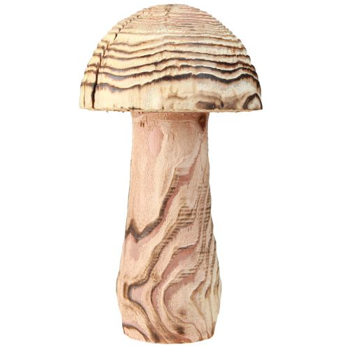 daiktų Medinis grybas stovinčiam dekoratyvinei grybų medienai Paulownia Ø15cm H28cm