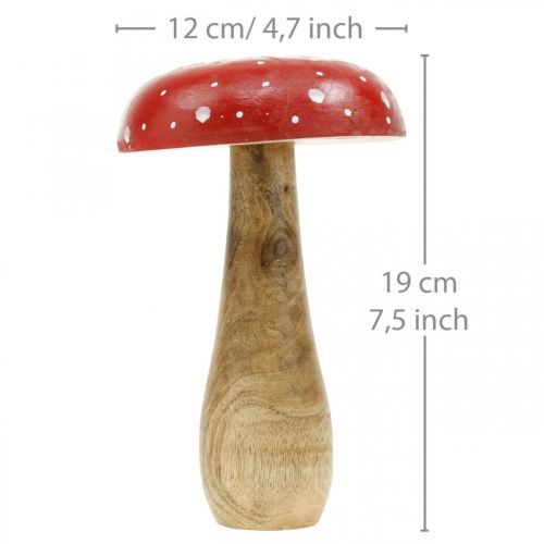 Floristik24 Musmirės medinis deko grybas rudeninis Ø12cm H19cm