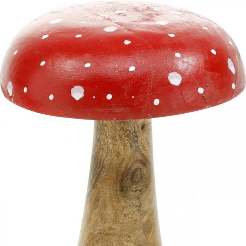 Floristik24 Musmirės medinis deko grybas rudeninis Ø12cm H19cm