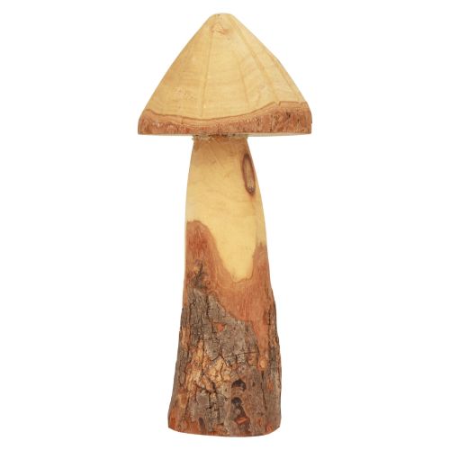 daiktų Medinių grybų dekoravimas grybų medžio apdaila natūrali stalo puošmena rudens Ø11cm H28cm