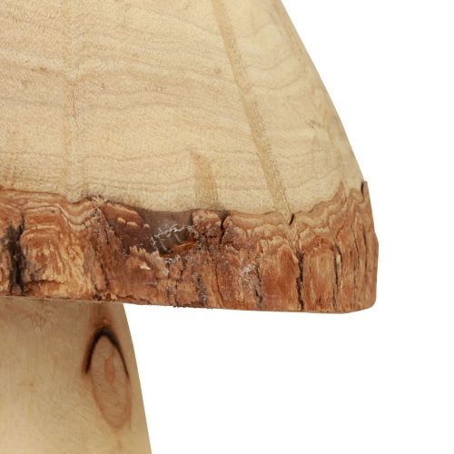 Floristik24 Medinių grybų dekoravimas grybų medžio apdaila natūrali stalo puošmena rudens Ø14cm H36cm
