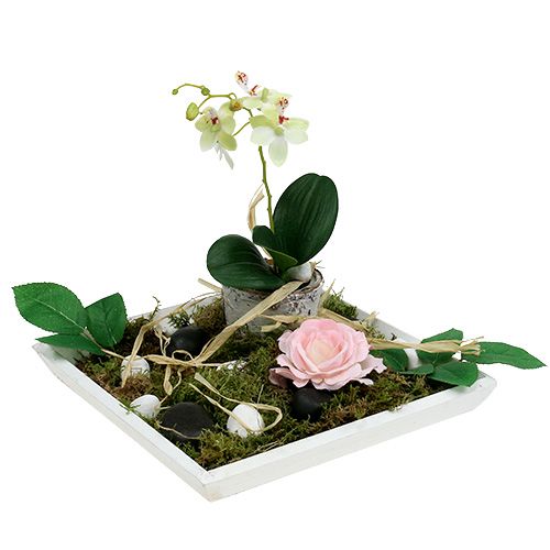 Floristik24 Medinis dubuo 25cm x 25cm baltas