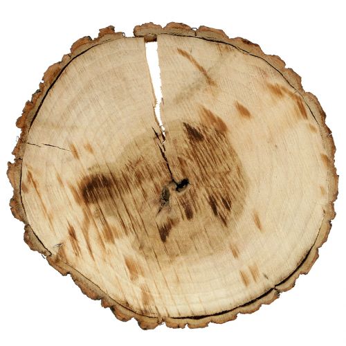 Floristik24 Medinis diskas natūralus 20cm 2 vnt