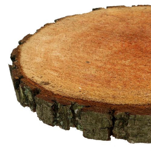 Floristik24 Medinis diskas iš natūralaus alksnio Ø20cm - 24cm