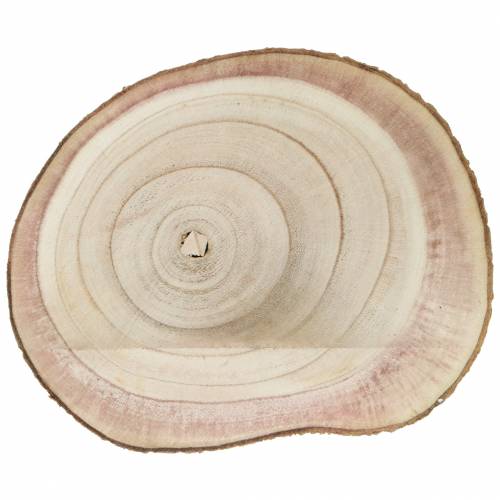 daiktų Medžio griežinėlis mėlynojo varpelio medis natūralus Ø20-25cm 1 vnt