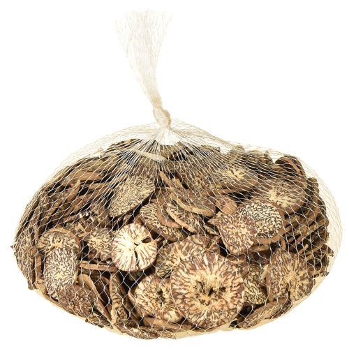 daiktų Mediniai dekoratyviniai betelio riešuto griežinėliai arekai 1-3,5 cm 300 g