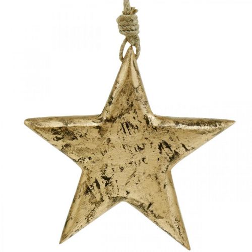 Floristik24 Žvaigždutė pakabinama, medžio apdaila su aukso efektu, Adventas 14cm × 14cm