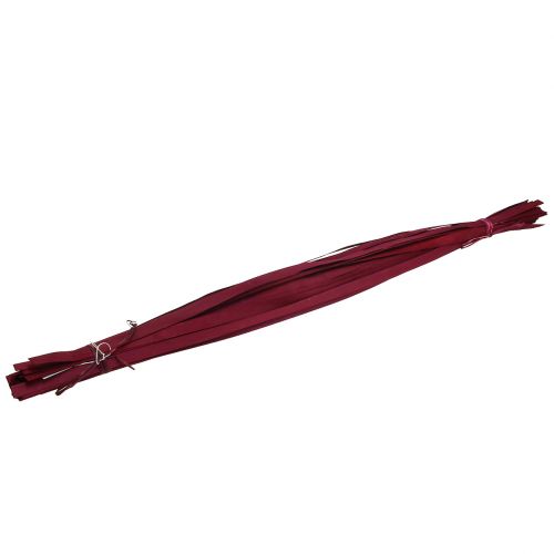 Floristik24 Medinės juostelės Bordo 95cm - 100cm 50p