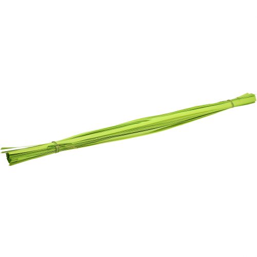 Floristik24 Medinės juostelės spyruoklinė žalia 95cm - 100cm 50 vnt