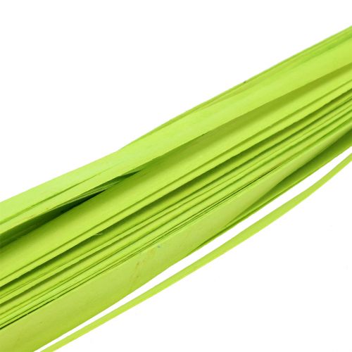 Floristik24 Medinės juostelės spyruoklinė žalia 95cm - 100cm 50 vnt