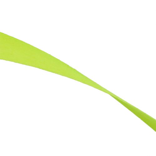 Floristik24 Medinės juostelės spyruoklinė žalia 95cm - 100cm 50 vnt