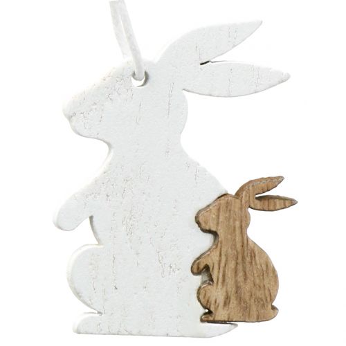 Floristik24 Dekoratyvinė kabykla spyruoklinė balta / gamta 12vnt